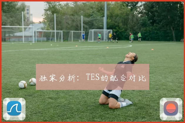 独家分析：TES的配合对比