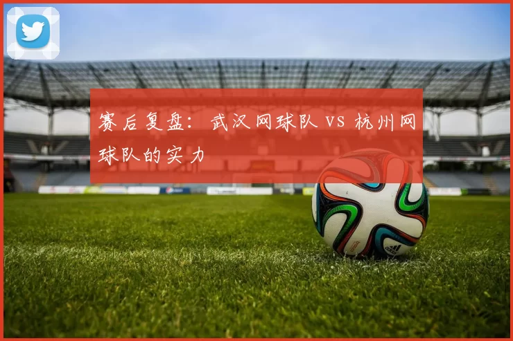 赛后复盘：武汉网球队 vs 杭州网球队的实力