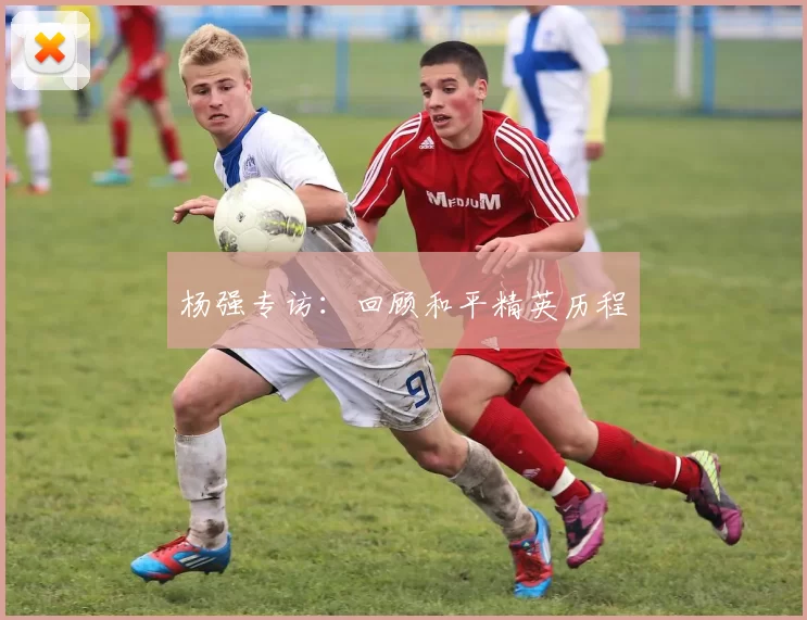 杨强专访：回顾和平精英历程