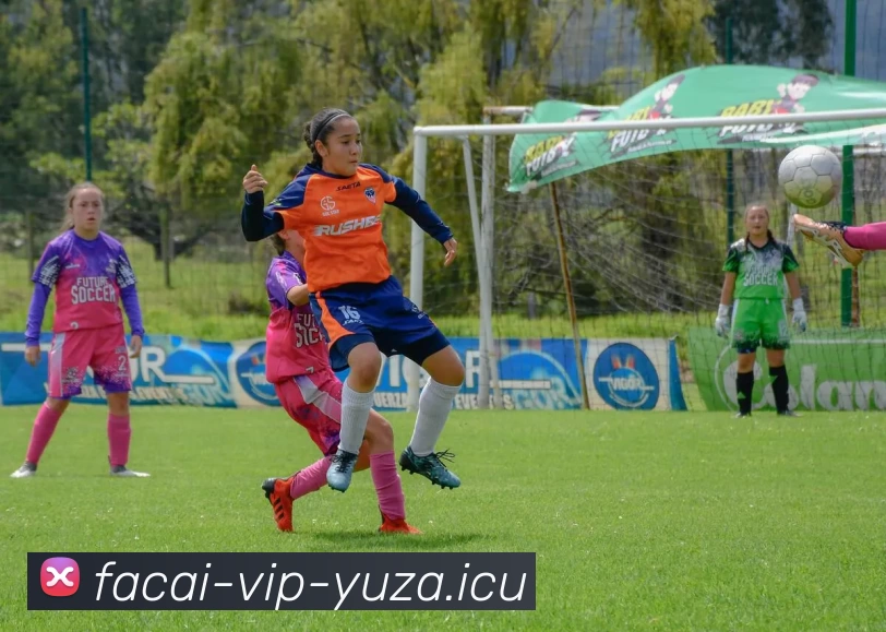 多媒体互动体验