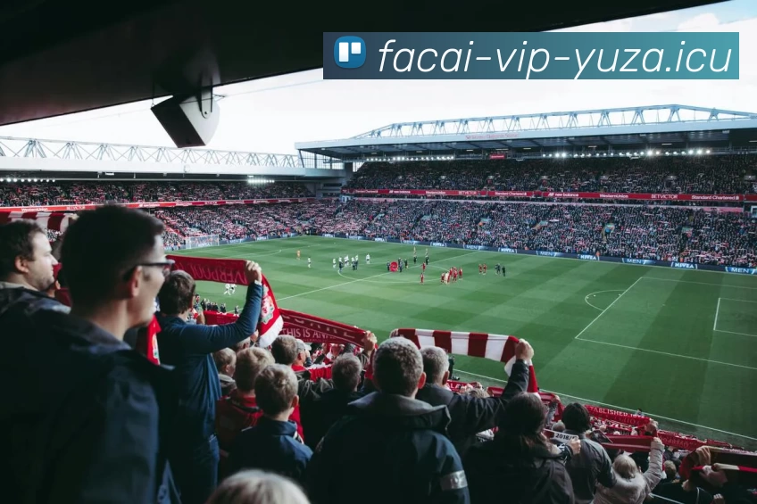 爱游戏体育APP 高清赛事图